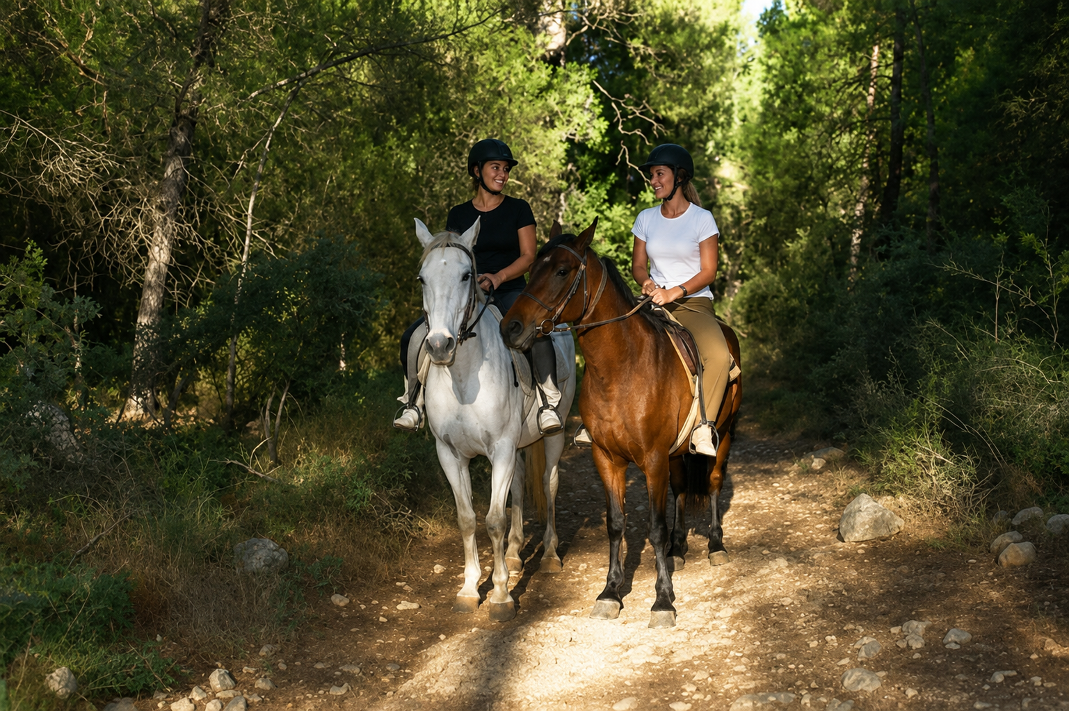 At safari - at turu fethiye hisarönü